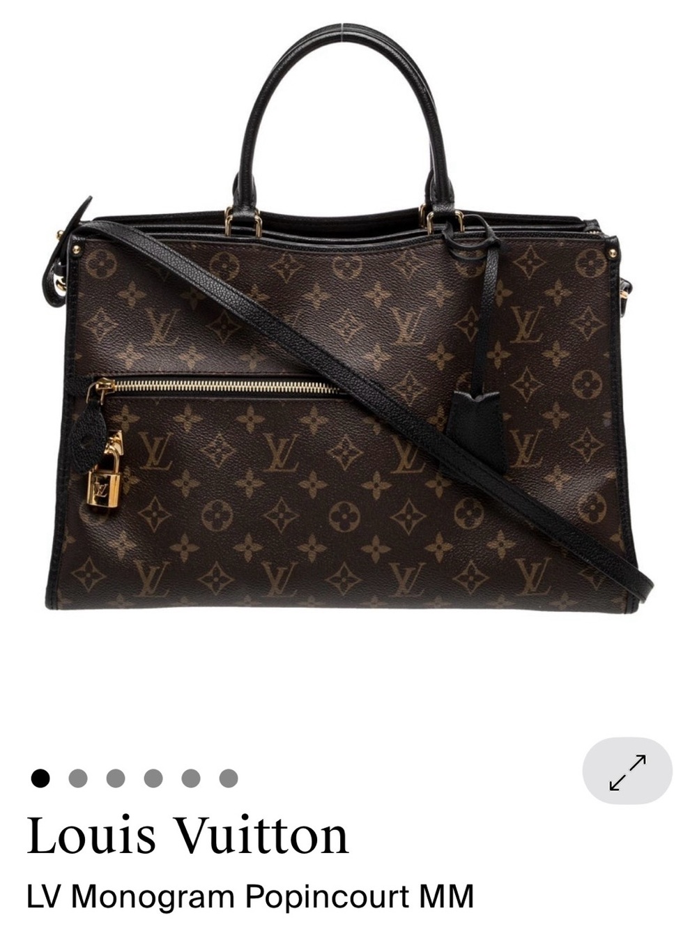 Louis Vuitton Monogram Popincourt MM in Brown and Black with Gold Hardware